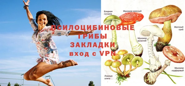 a pvp Белокуриха