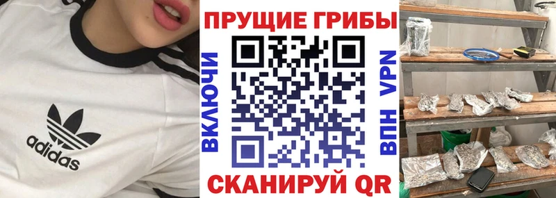 Псилоцибиновые грибы MAGIC MUSHROOMS Славгород