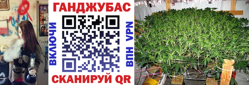 закладка  MEGA вход  Бошки Шишки конопля  Славгород 
